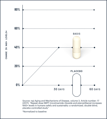 Elysium Basis Diagram